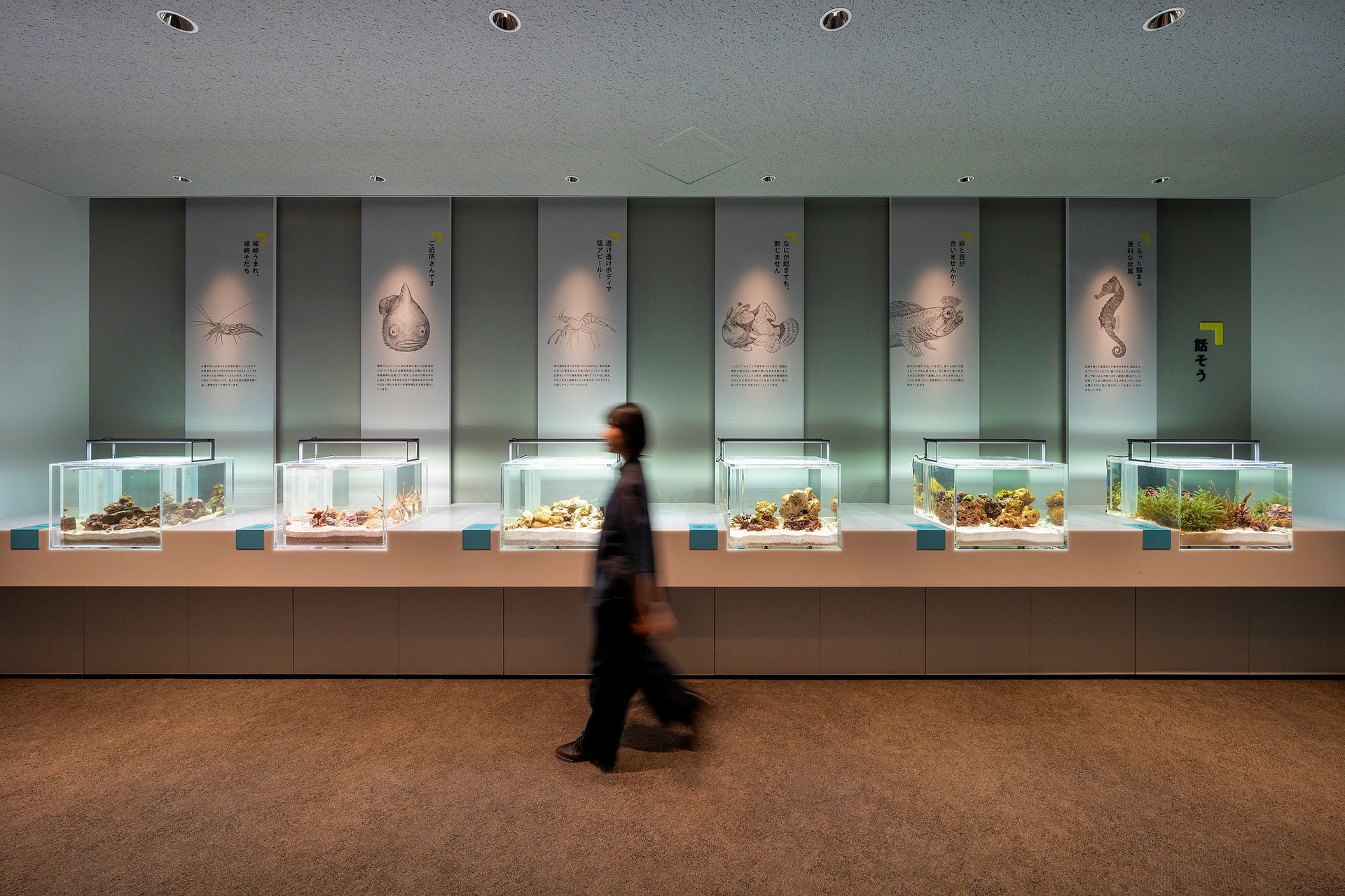 城崎マリンワールド SeaZoo5